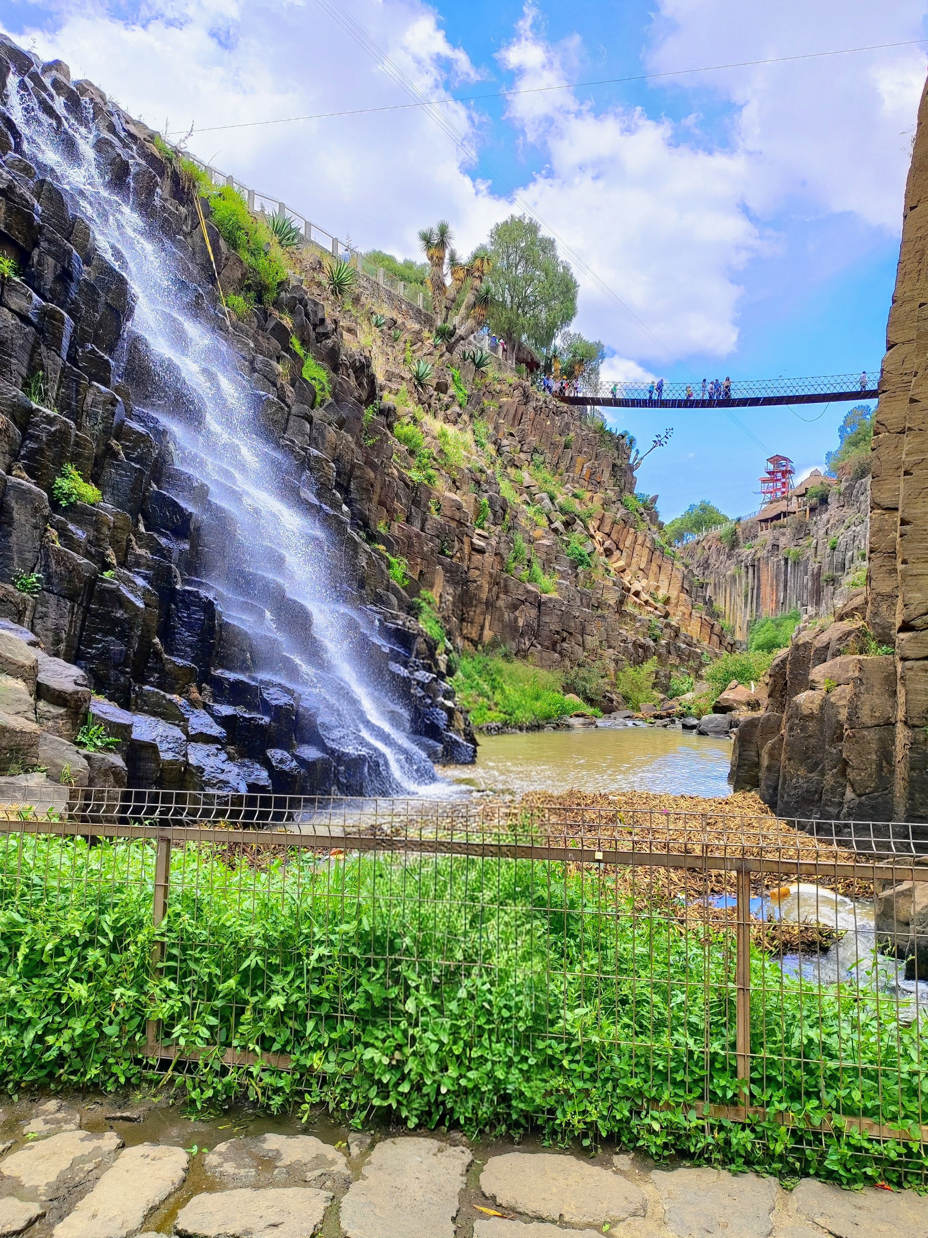 Clientes felices en la playa