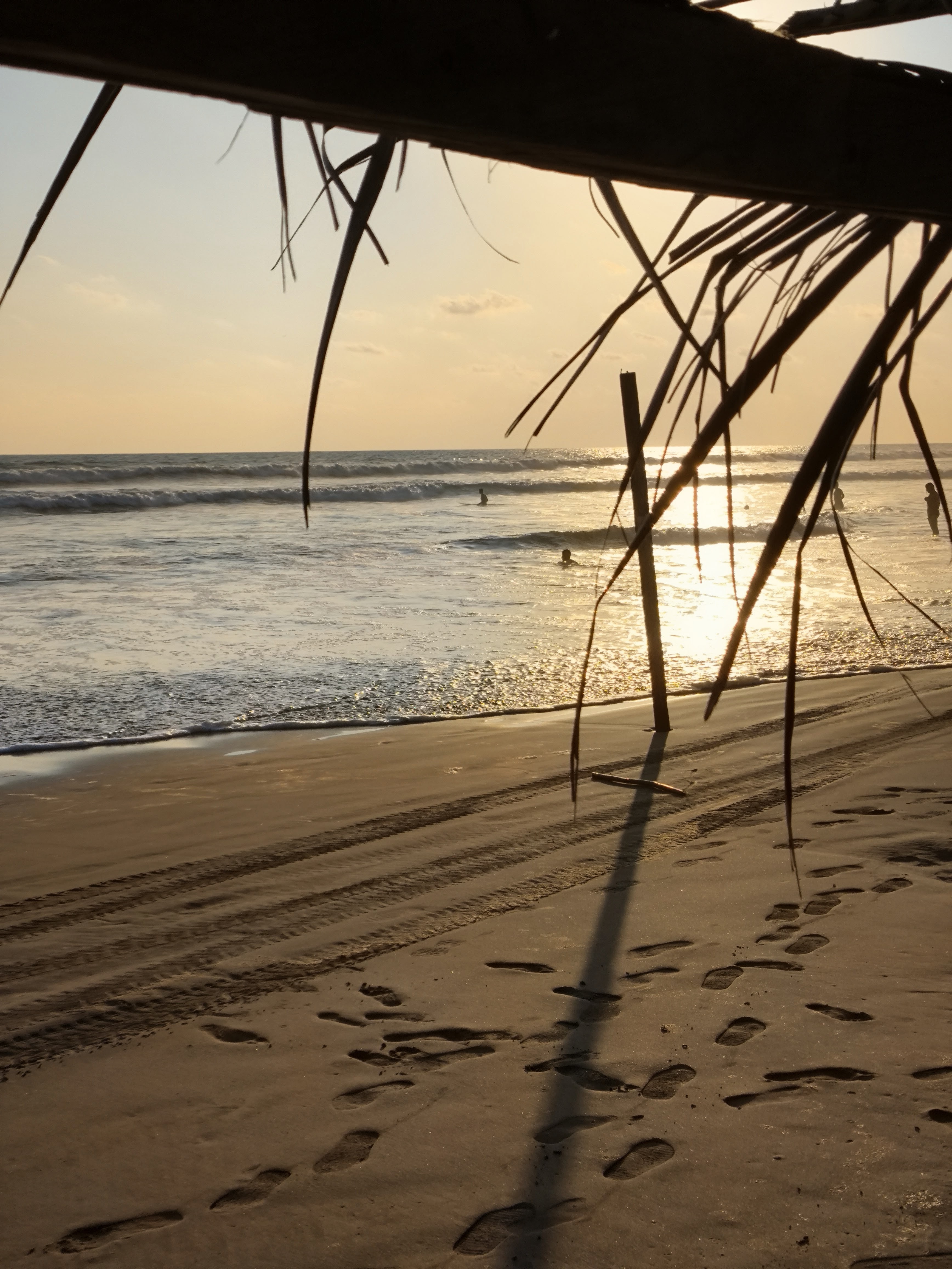 Equipo de Viajes en Oferta en oficina